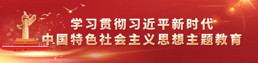 学习贯彻习近平新时代中国特色社会主义思想主题教育